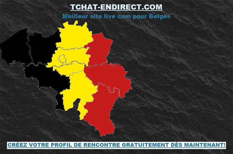Fraudes Sur Tchat-Endirect Belgique